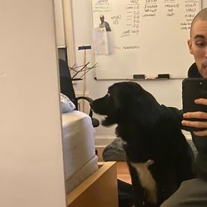 Meet your Posher, Andrew